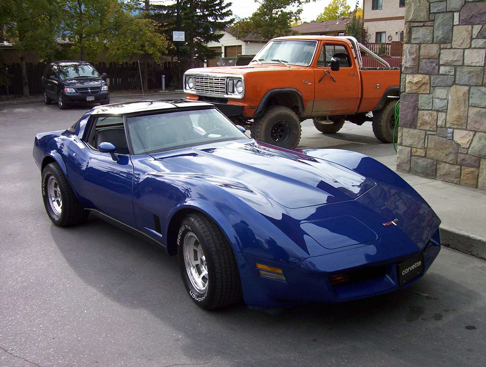 1981 corvette owners manual