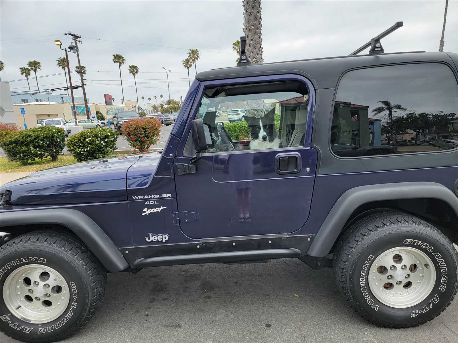 1997 jeep tj owners manual