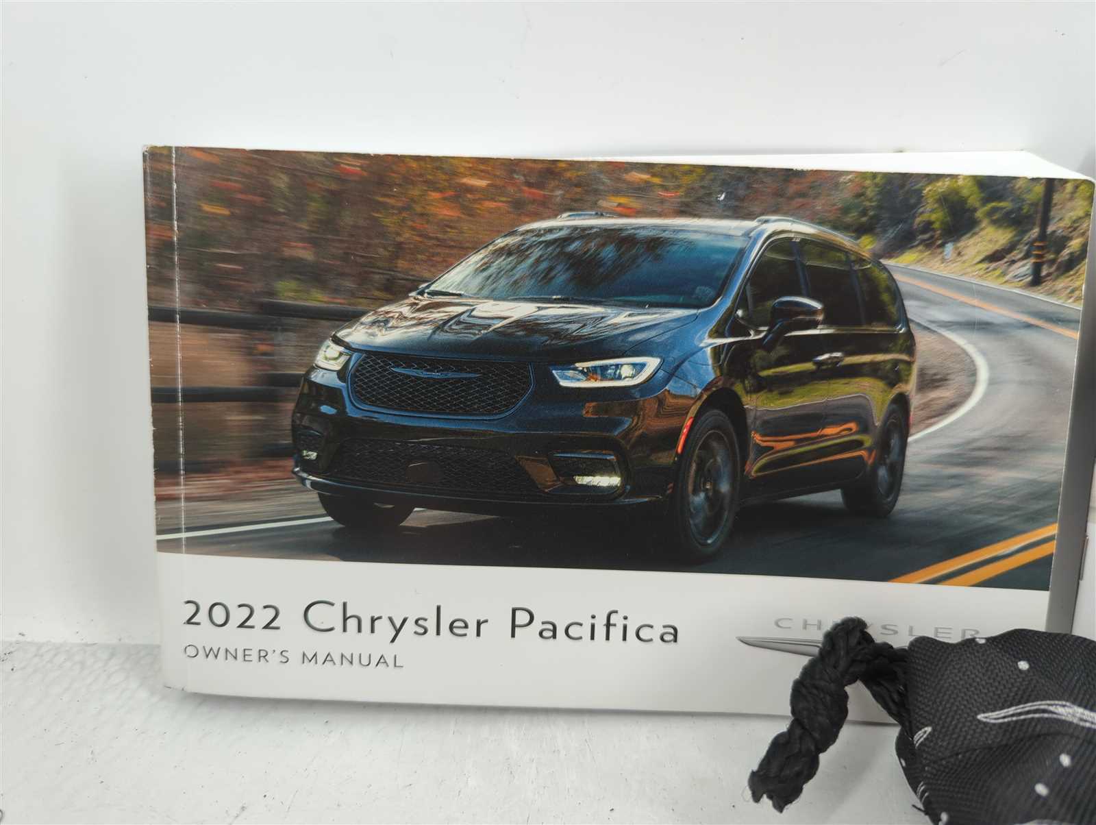 2004 chrysler pacifica owners manual