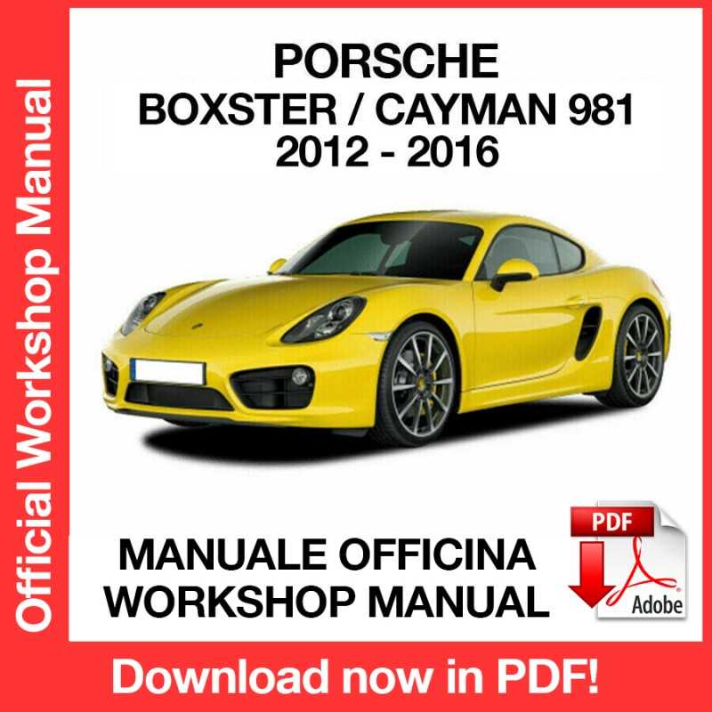 2011 porsche cayman owners manual