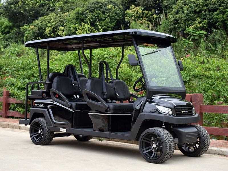 bintelli golf cart owners manual