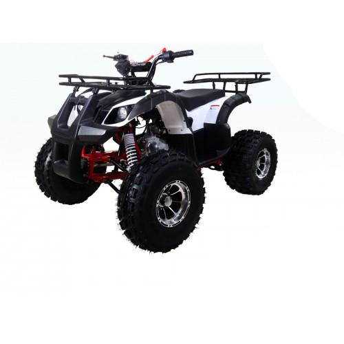 taotao 110cc atv owners manual