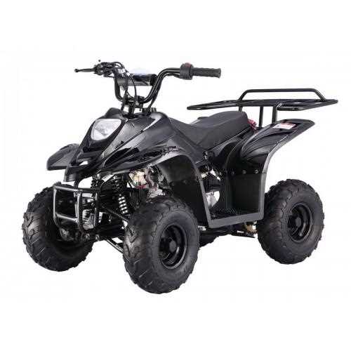 taotao 110cc atv owners manual