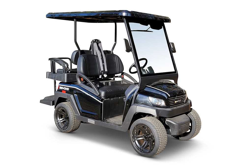 bintelli golf cart owners manual