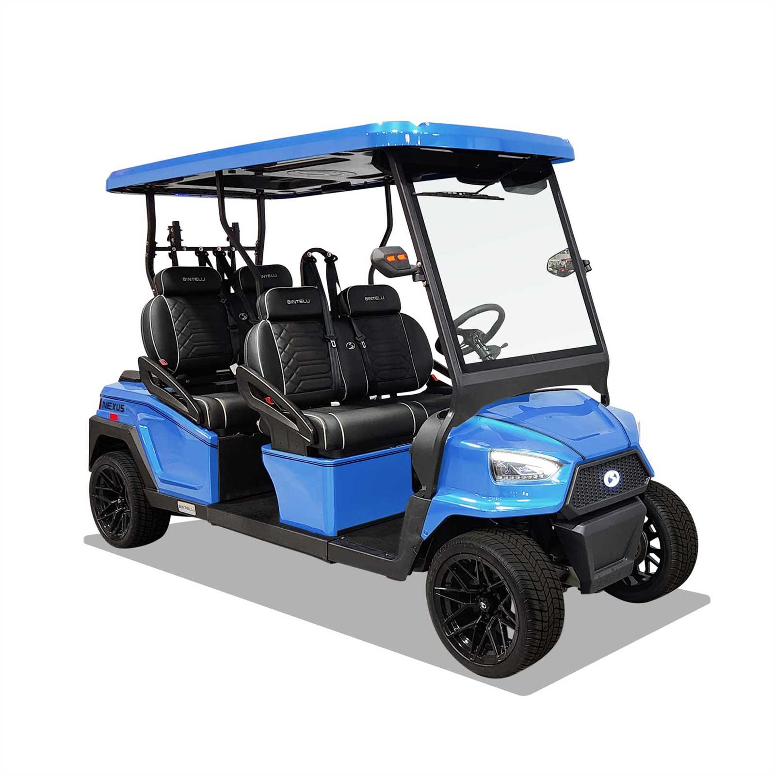 bintelli golf cart owners manual