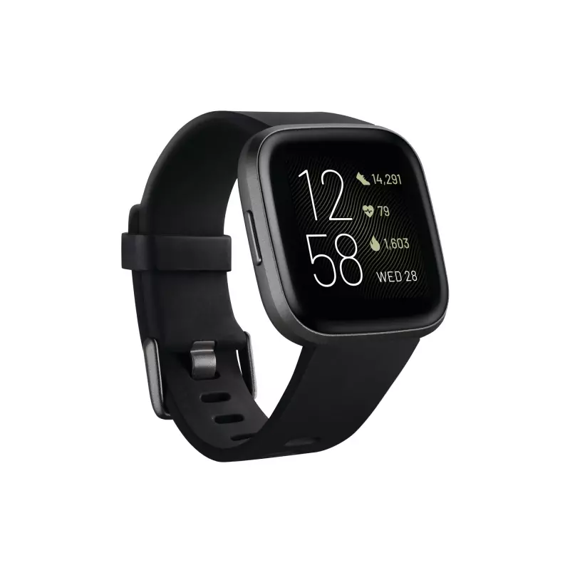 fitbit flex owners manual