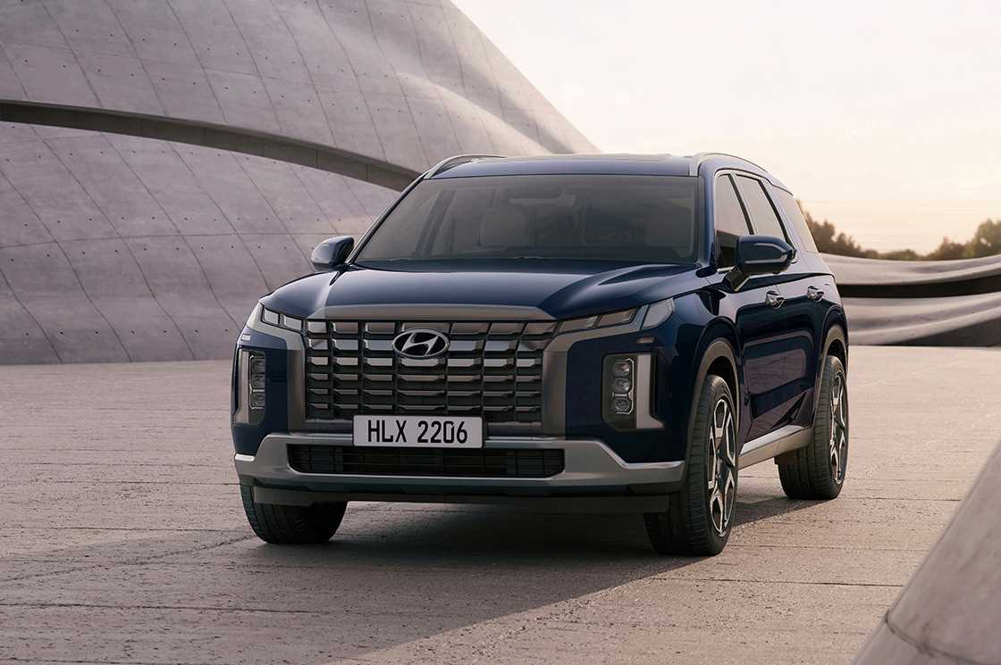 hyundai palisade owners manual 2021