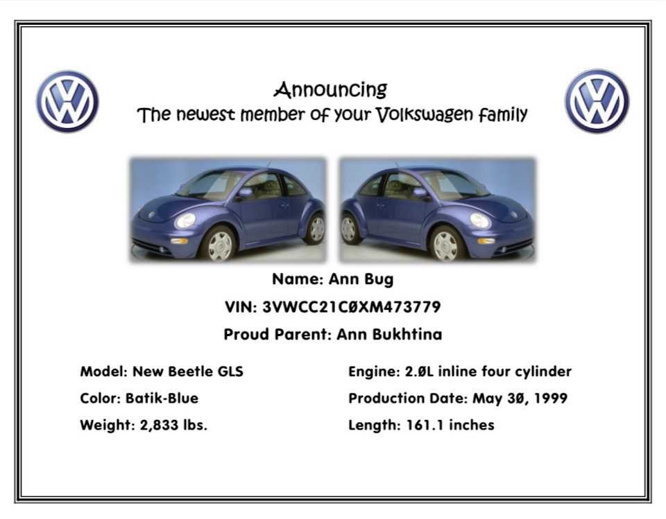 2003 vw beetle owners manual