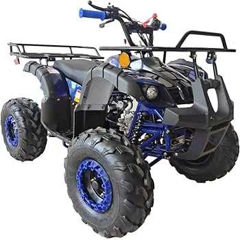 taotao 110cc atv owners manual