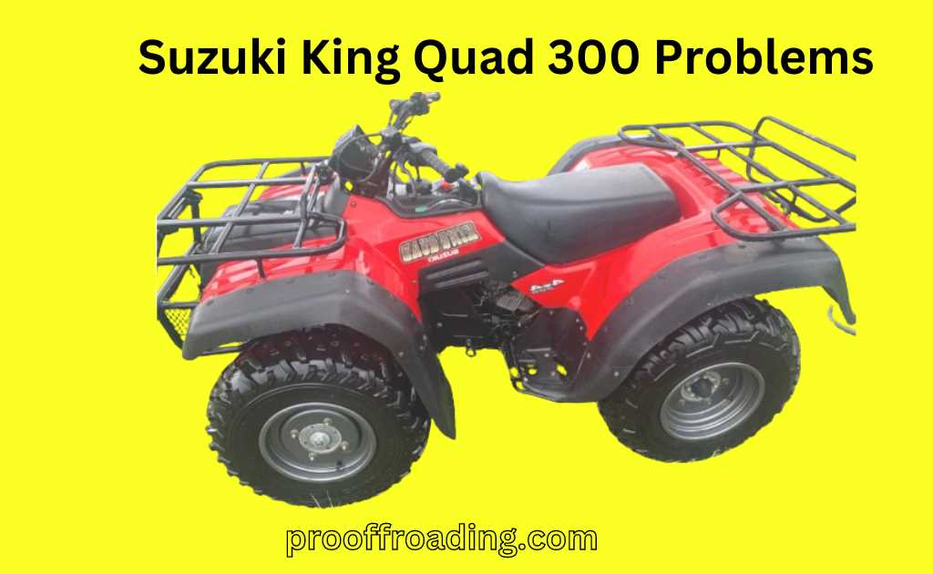 suzuki king quad 300 owners manual