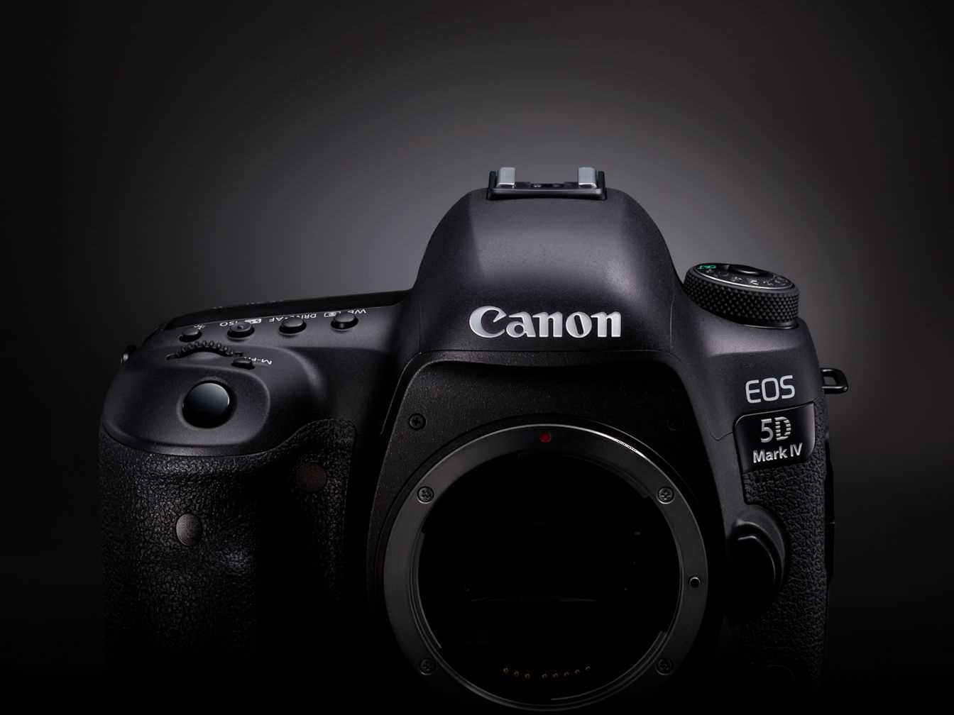 canon 5d owners manual