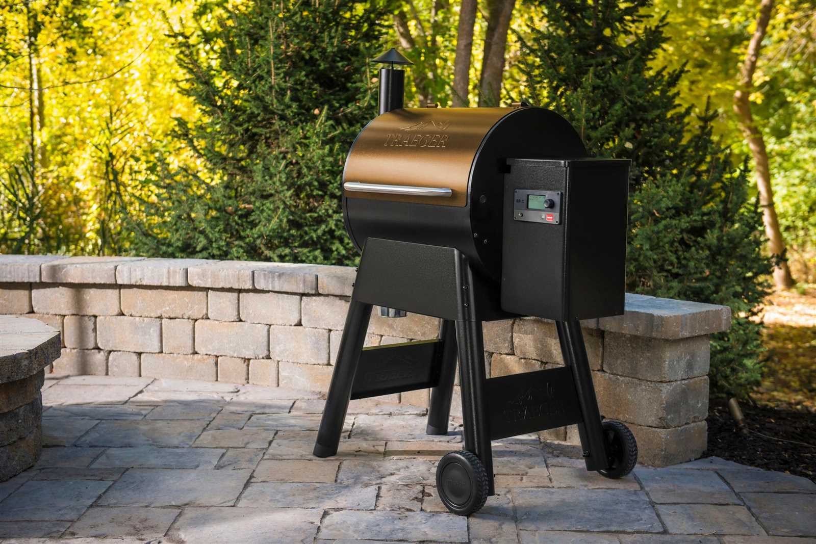 traeger pro 575 owners manual