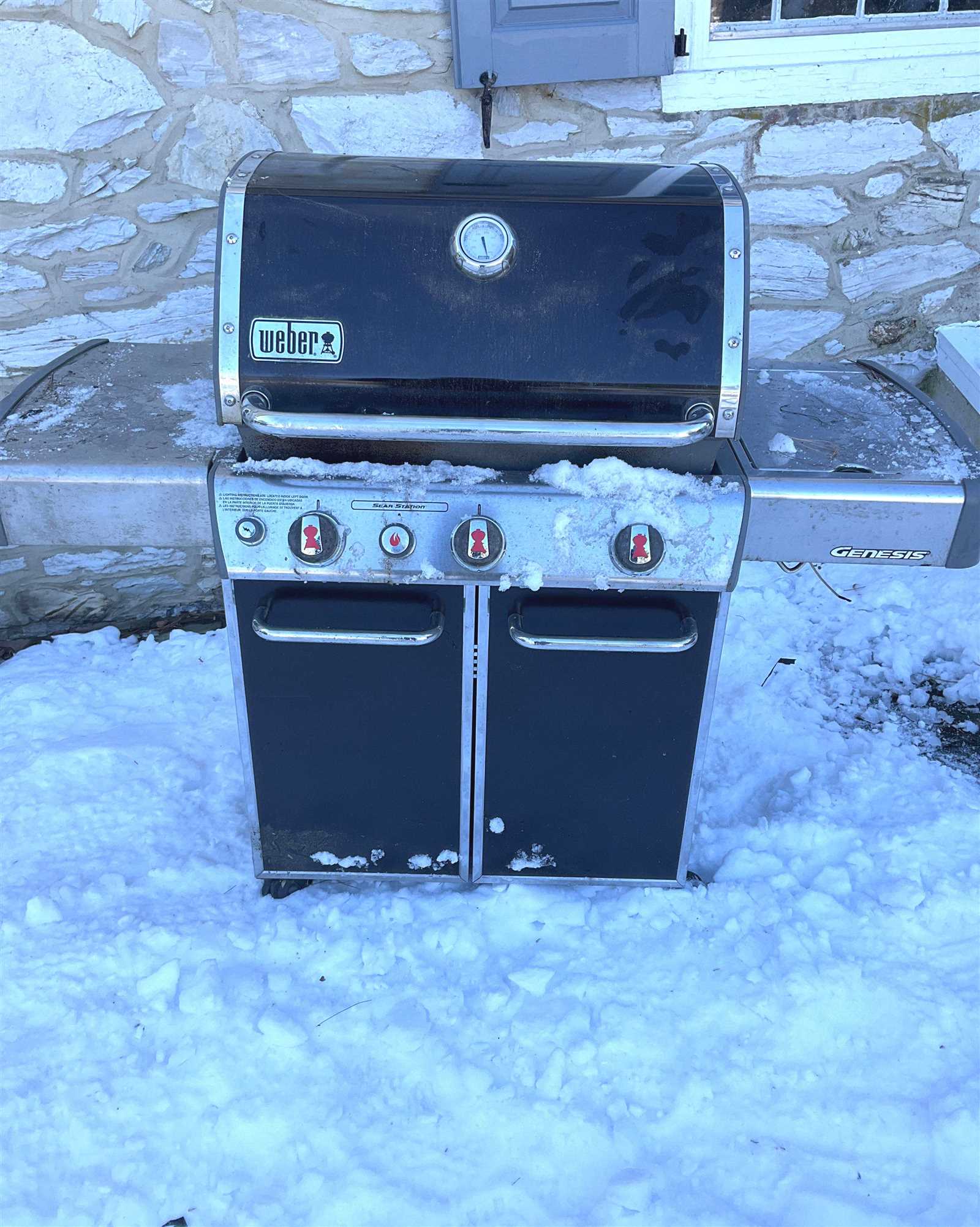 weber genesis e 310 owners manual