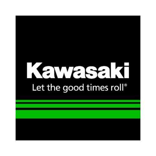 2015 kawasaki ninja 300 owners manual