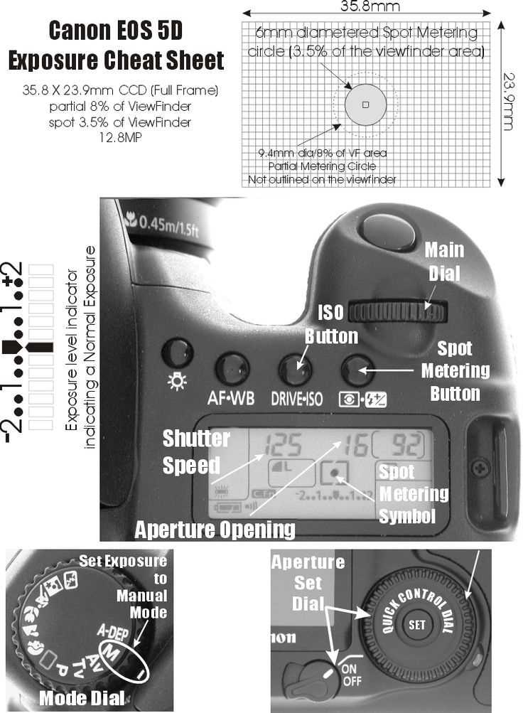 canon 5d owners manual