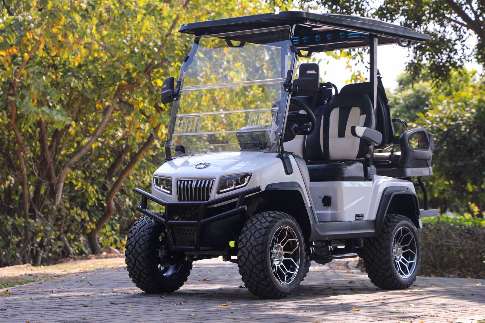 bintelli golf cart owners manual